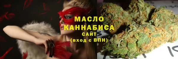 амф Алексин