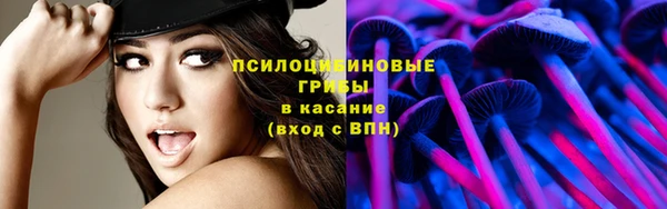 бошки Абдулино