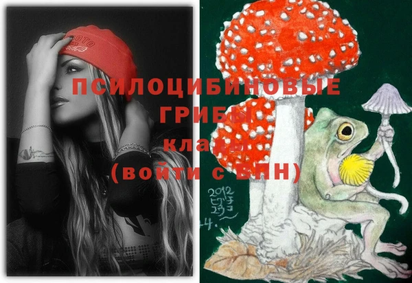 мяу мяу мука Абинск
