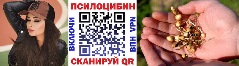 где купить   Керчь  Псилоцибиновые грибы прущие грибы 